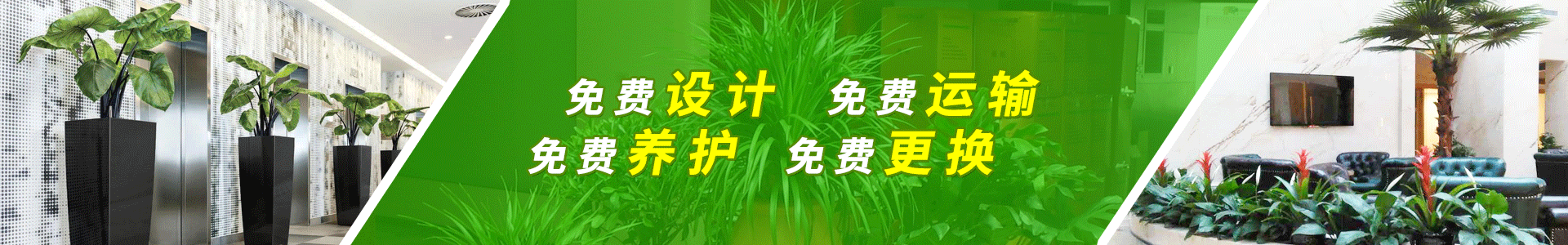 绿植租赁广告位