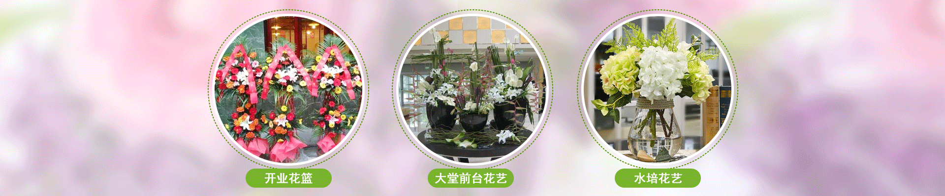 创意鲜花