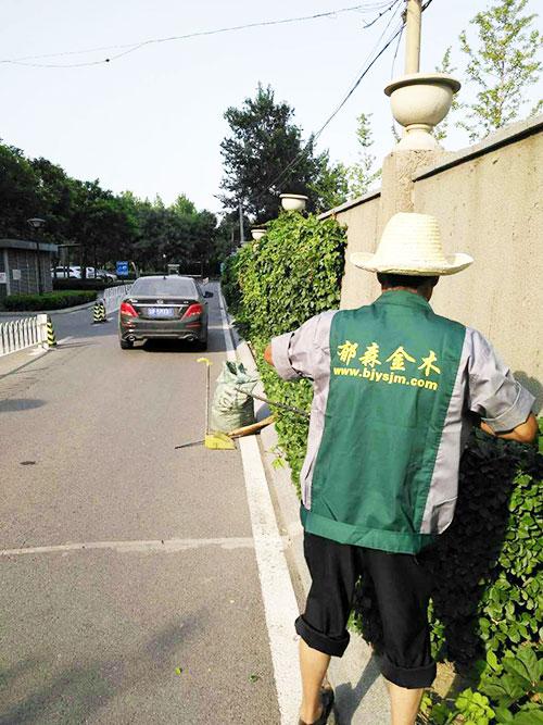 厂区养护