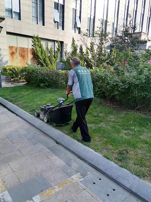 厂区6
