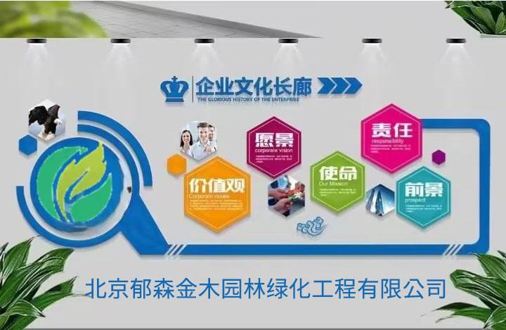 企业文化